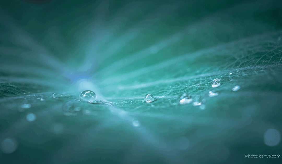 A New Story of Manifestation: A Return to Reciprocity