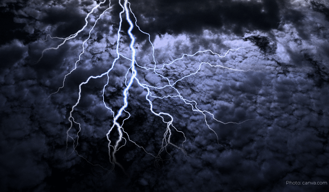 Lessons in Surrender